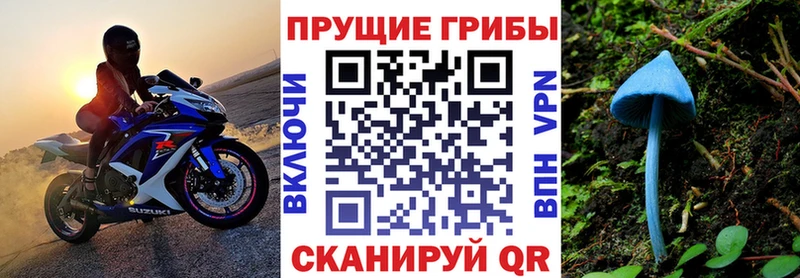 Галлюциногенные грибы прущие грибы  Купить закладки  Старый Крым 